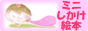 ミニしかけ絵本をつくりたい！如月あや