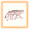 にゃんボタン1