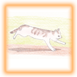 にゃんボタン4
