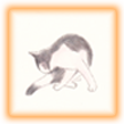 にゃんボタン5