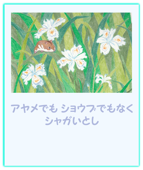 にゃん2