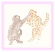 にゃん度10