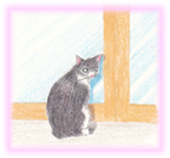 にゃん度5