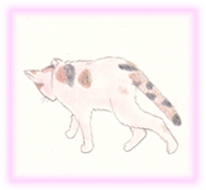 にゃん度2