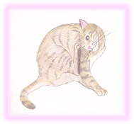 にゃん度7.5
