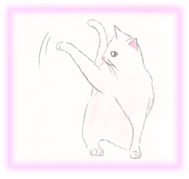 にゃん度15