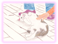 にゃん度20