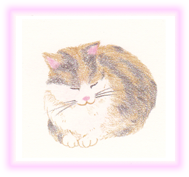 にゃん度15