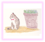 にゃん度8.5