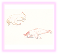 にゃん度3.5