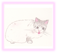 にゃん度5.5