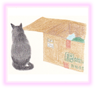 にゃん度10.5