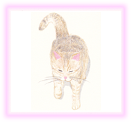 にゃん度12