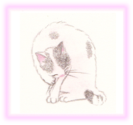 にゃん度6.5