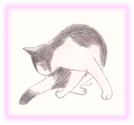 にゃん度3