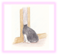 にゃん度9.5