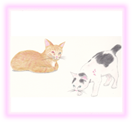 にゃん度9