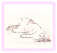 にゃん度8