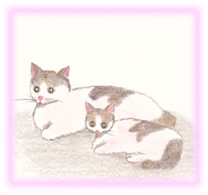 にゃん度9